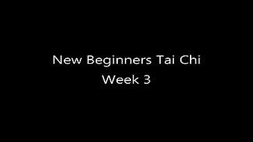 New Beginners Tai Chi - Week 3